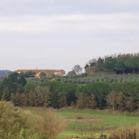 Agriturismo L'Isola Crespina Eksteriør bilde