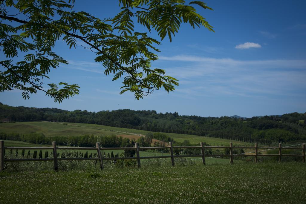 Agriturismo L'Isola Crespina Rom bilde