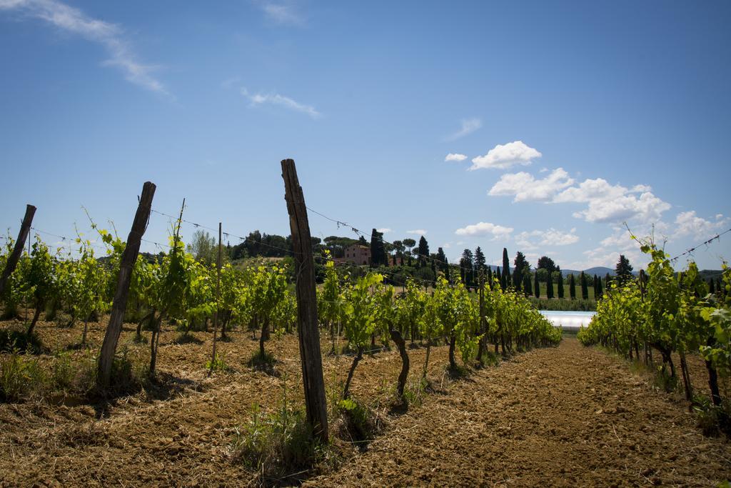 Agriturismo L'Isola Crespina Eksteriør bilde